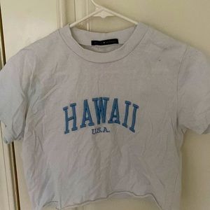 brandy melville HAWAII U.S.A cropped t shirt